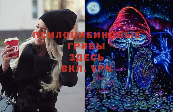 Альфа ПВП Новодвинск