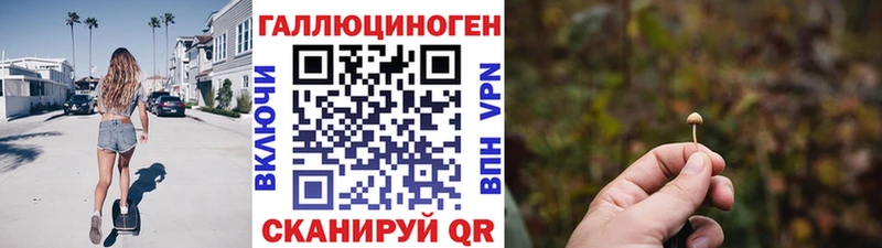 купить наркотик  Хилок  Псилоцибиновые грибы ЛСД 